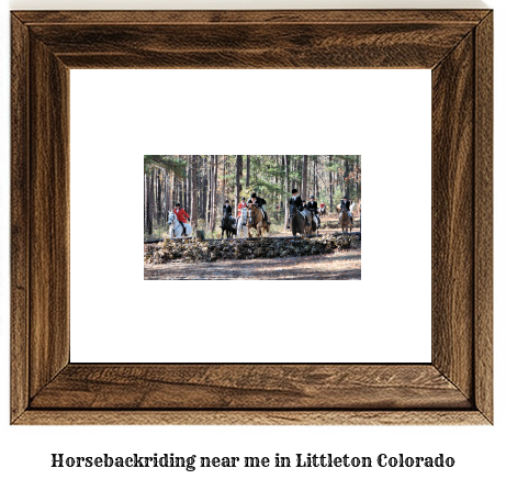 horseback riding near me in Littleton, Colorado